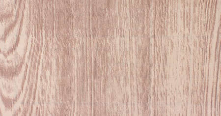 Old Wood Tree Texture Background Patternの写真素材