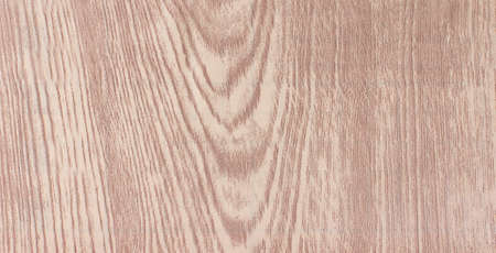 Old Wood Tree Texture Background Patternの写真素材
