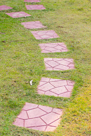 top view of stone path in gardenの写真素材