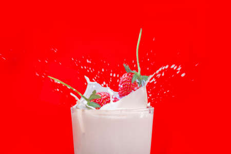 Red strawberry fruits falling into the milky splash in a glassの写真素材