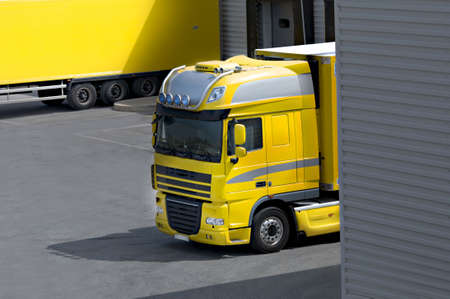 yellow IIの写真素材