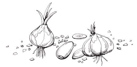 Garlic illustration drawing
Hand drawn of garlic in different shape and steadの写真素材