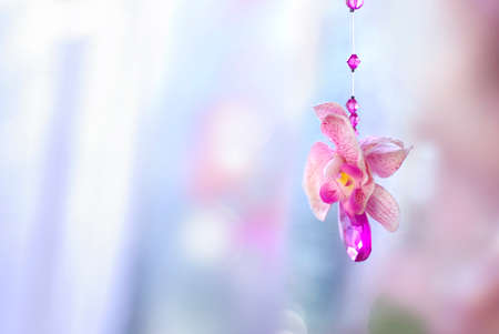 pink orchid flowers and beads curtain decorative for wedding