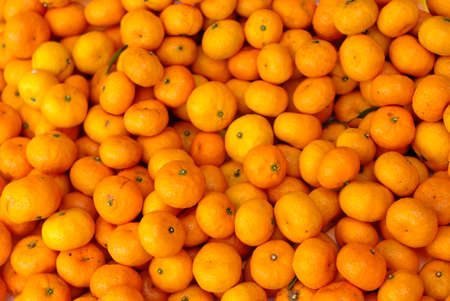 oranges pile colorful backgroundの写真素材