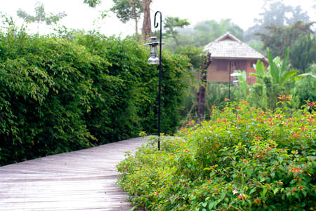 green tree fence with classic lamp along wood pathwayの写真素材