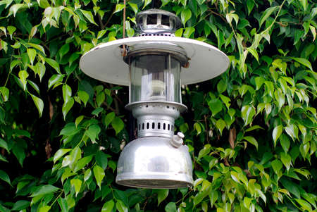 green tree fence with classic lamp close upの写真素材