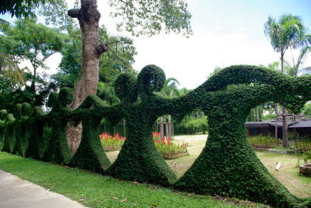 Biking alone in the love park, heart tree mazeの写真素材