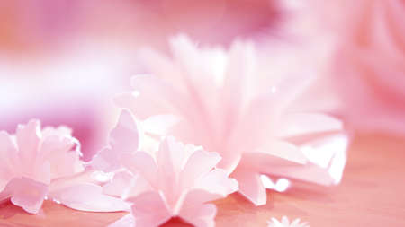 pink rose flower wedding backgroundの写真素材