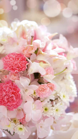 white rose flower wedding, valentine backgroundの写真素材