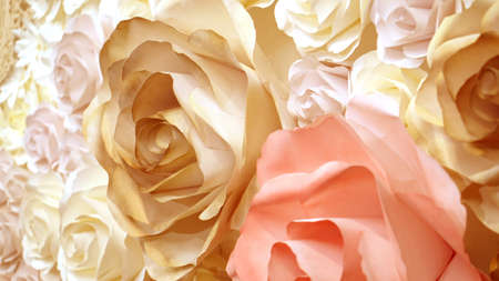white rose flower wedding, valentine backgroundの写真素材