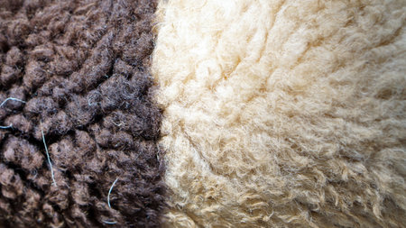 sheep wool texture black and white