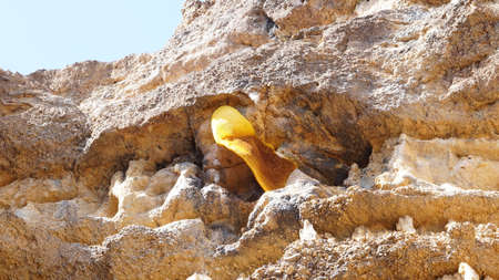 natural bee hive on mountain cliffの写真素材