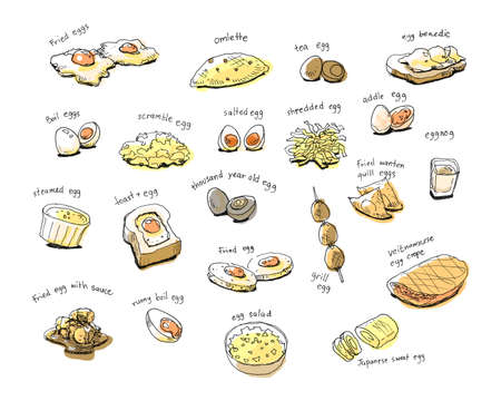 variety internation egg menu hand drawing illustrationの写真素材