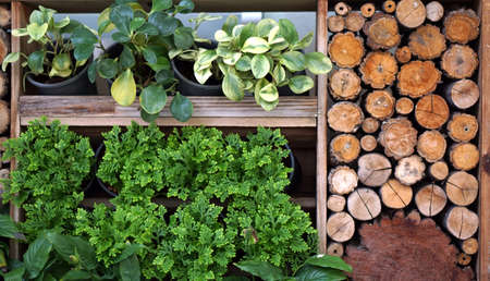 vertical green and wood garden landscape and designの写真素材