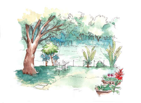 green garden water colour illustrationの写真素材