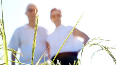 Cool Asian senior couple wearing sunglasses hugging in front of rice field. Travel in morning sunの写真素材