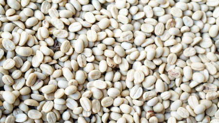 texture raw white green beans of coffee before roasting
