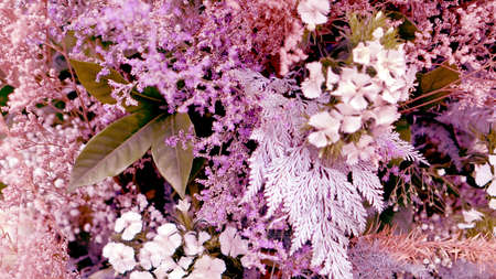 flower wedding pastel backgroundの写真素材