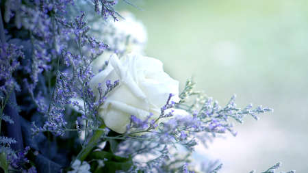 flower wedding pastel backgroundの写真素材