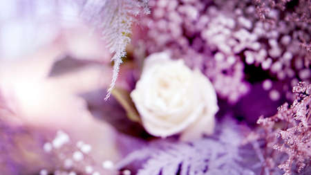 flower wedding pastel backgroundの写真素材