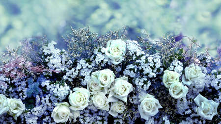 flower wedding pastel backgroundの写真素材