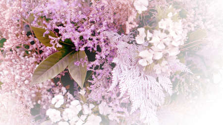 flower wedding pastel backgroundの写真素材