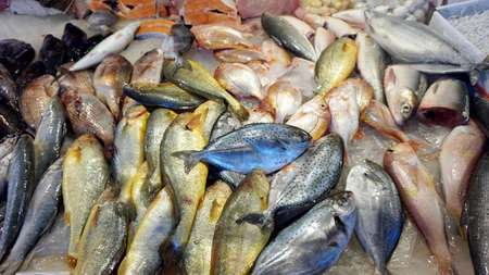 colorful fresh fish in market