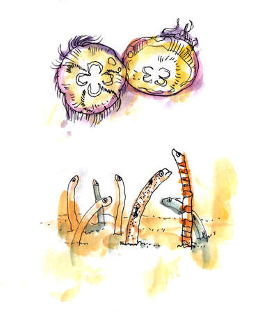Aquatic sea animals watercolor painting, jelly fish and garden elelの写真素材