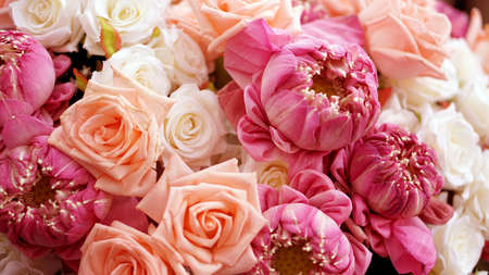 Pink roses and lotuses flower romantic valentine background with copy space