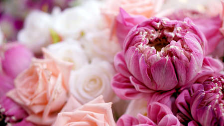Pink roses and lotuses flower romantic valentine background with copy spaceの写真素材
