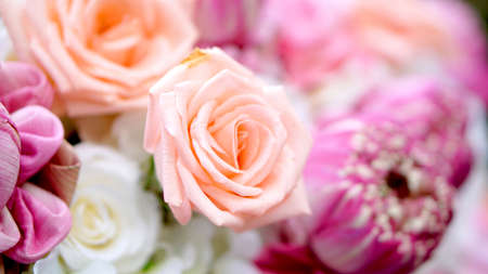 roses and lotuses flower romantic valentine background with copy spaceの写真素材