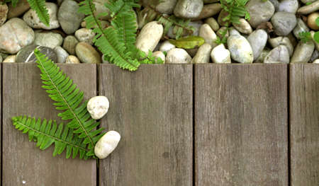 Fern and pebble stone on wood floor texture top view for products backgroundの写真素材
