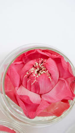 Pink lotus, water lily decorate in water glass. Modern style theme for wedding and valentinesの写真素材