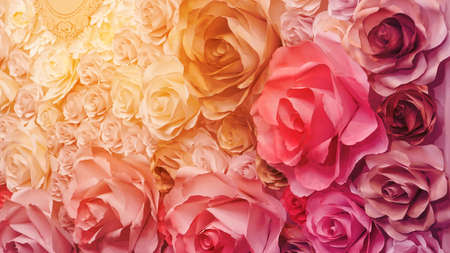 roses flower wedding  pink background copy spaceの写真素材