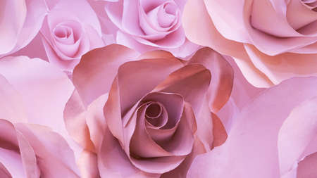 roses flower wedding  pink background copy spaceの写真素材