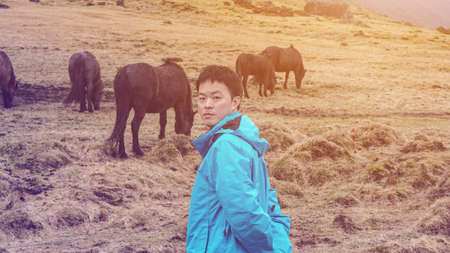 Asian man and Icelandic horsesの写真素材