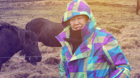 Asian senior woman trip in Iceland with icelandic horsesの写真素材
