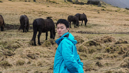 Asian man and Icelandic horsesの写真素材