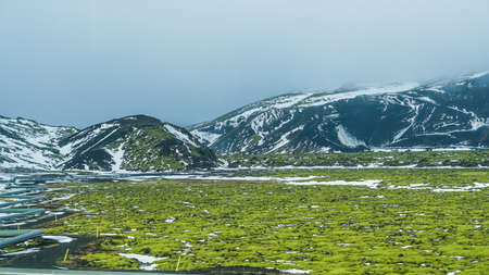 Iceland extreme bad weather snow and fog mountaitn background, green moss fieldの写真素材