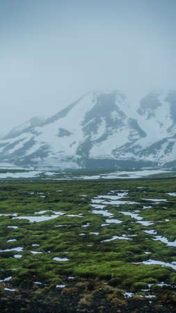 Iceland extreme bad weather snow and fog mountaitn background, green moss fieldの写真素材