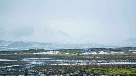 Iceland extreme bad weather snow and fog mountaitn background, green moss fieldの写真素材