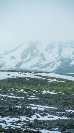 Iceland extreme bad weather snow and fog mountaitn background, green moss fieldの写真素材