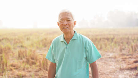 Smiling Asian elderly man own harvested rice field farm after retirement portraitの写真素材