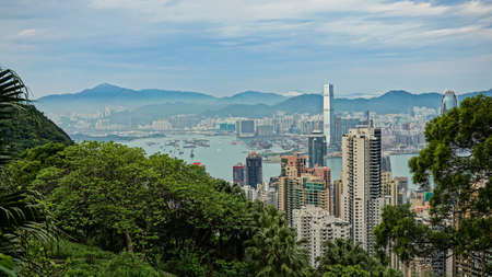 Close up of Hong Kong commercial and housing buildingの写真素材