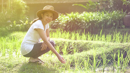 Modern Asian woman with straw hat at rice file, nature imerge lifestyleの写真素材
