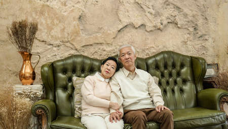 Wealthy Asian elderly couple happy hugging in luxury houseの写真素材