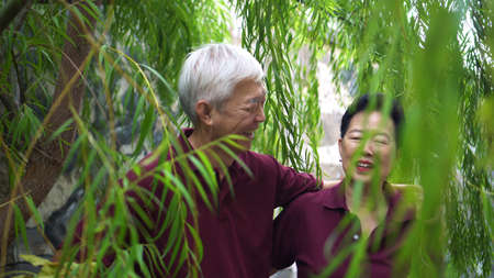 Happy retired Asian elder couple laughing under green willow tree background