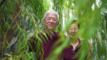 Happy retired Asian elder couple laughing under green willow tree background