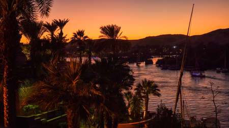 Nile river bank in Egypt sunset orange sky and palm tree with sand dessert slope in the backの写真素材