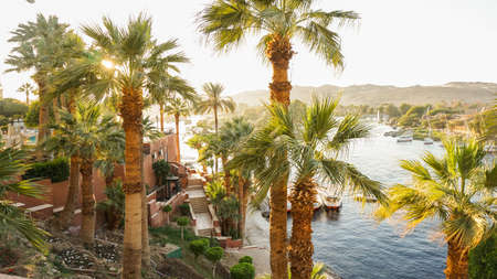 Nile river bank in Egypt sunset sky and palm tree with sand dessert slope in the backの写真素材